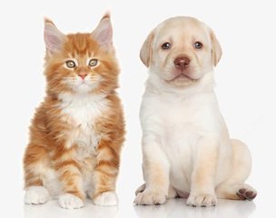 以太坊钱包多少字符