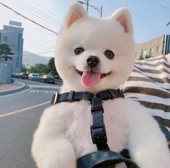 以太坊钱包机收益