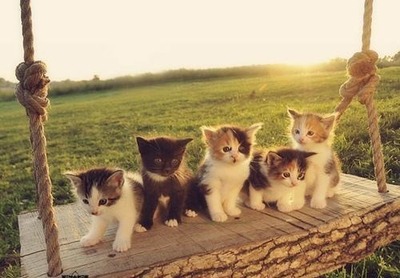 以太坊标准钱包